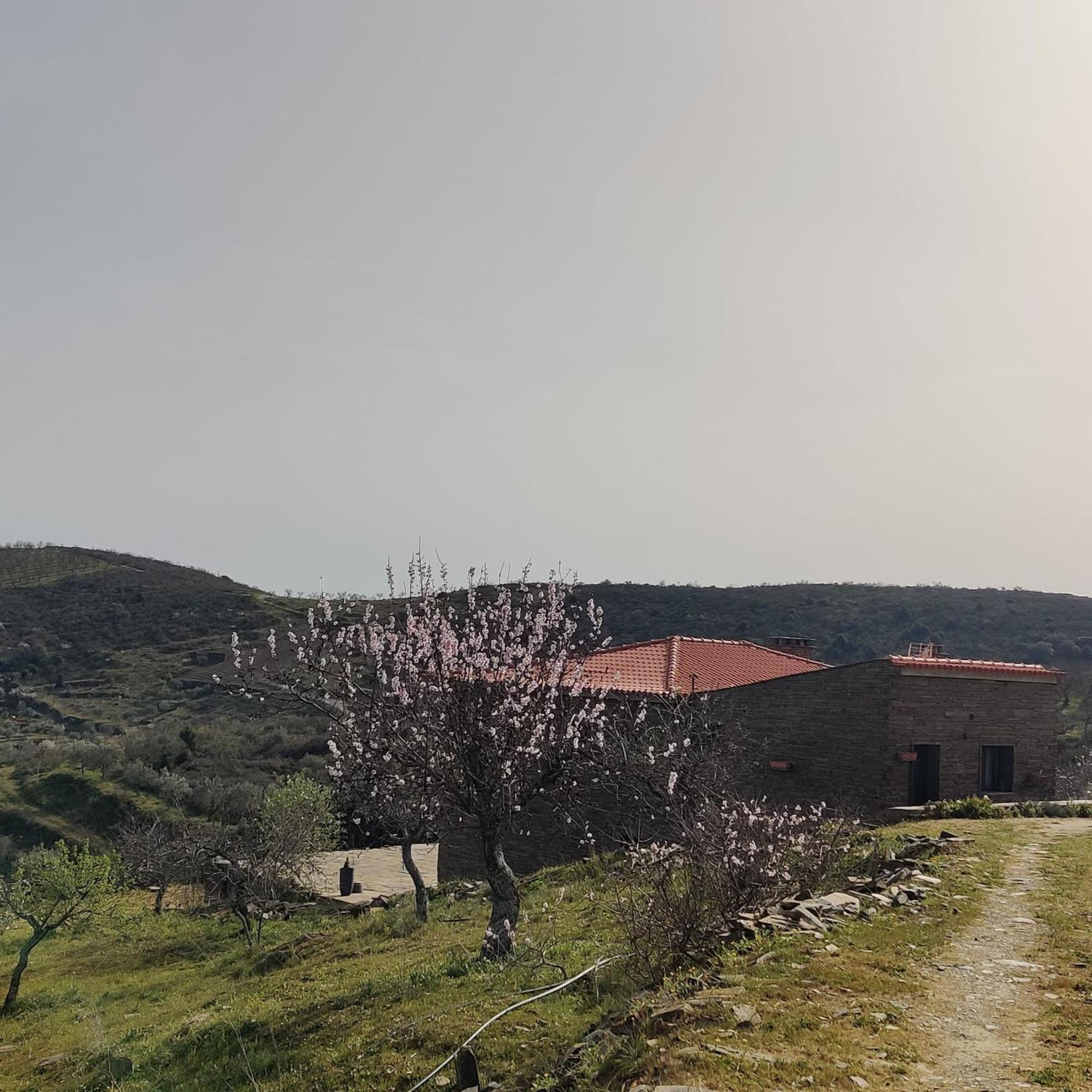فيلا Eira Da Fraga فيلا نوفا دي فوز كوا المظهر الخارجي الصورة